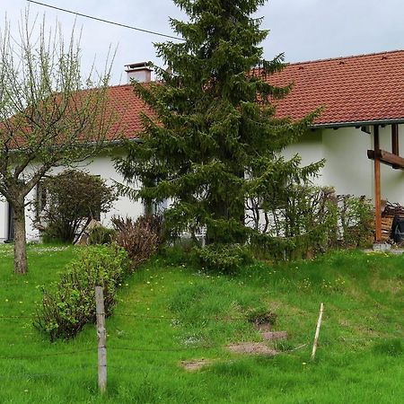 Cosy Apartment In Allg U With Garden Oy-Mittelberg Exterior foto